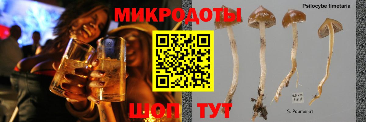 Галлюциногенные грибы прущие грибы  Псилоцибиновые грибы GOLDEN TEACHER  Камышлов  цена наркотик  Вход с VPN 